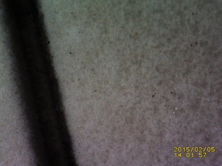 ISO Patch Tests after filtration at 100x mag