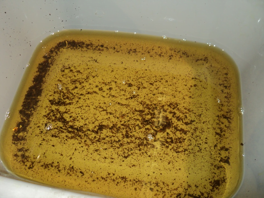 The same varnish flakes washed out into a tray for inspection (there was more than this!)
