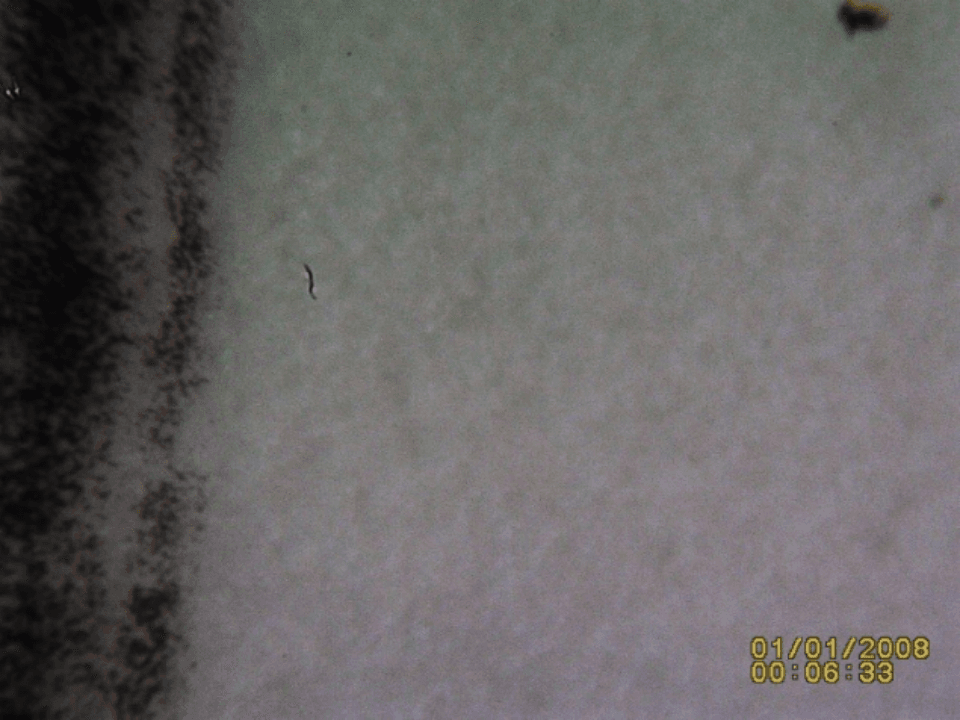 Figure 12_Post Flush Sample 2