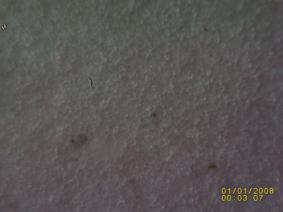 Figure 4_Post Flush Oil Sample 2