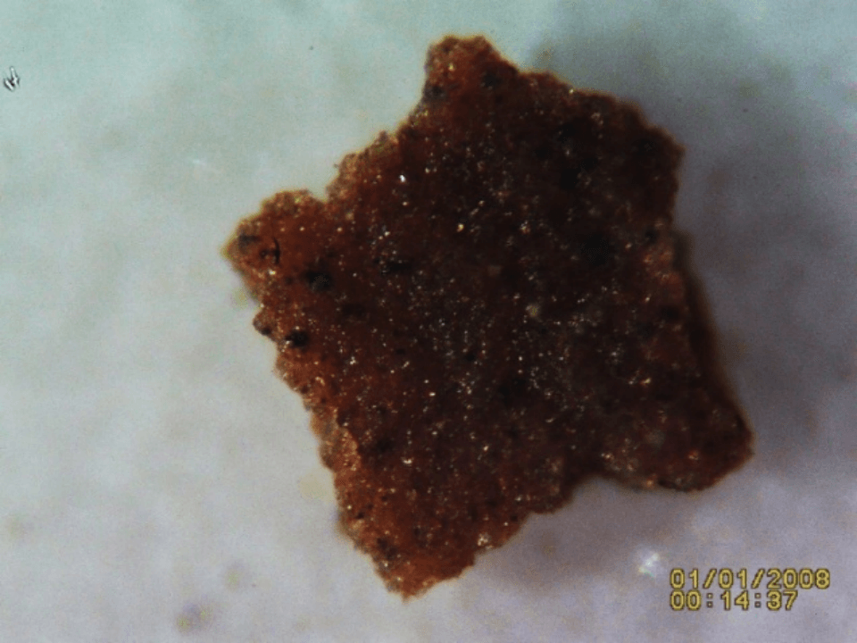 Figure 6_Varnish Fragment