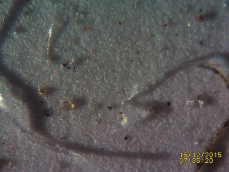 Figure 8_Various Contaminants