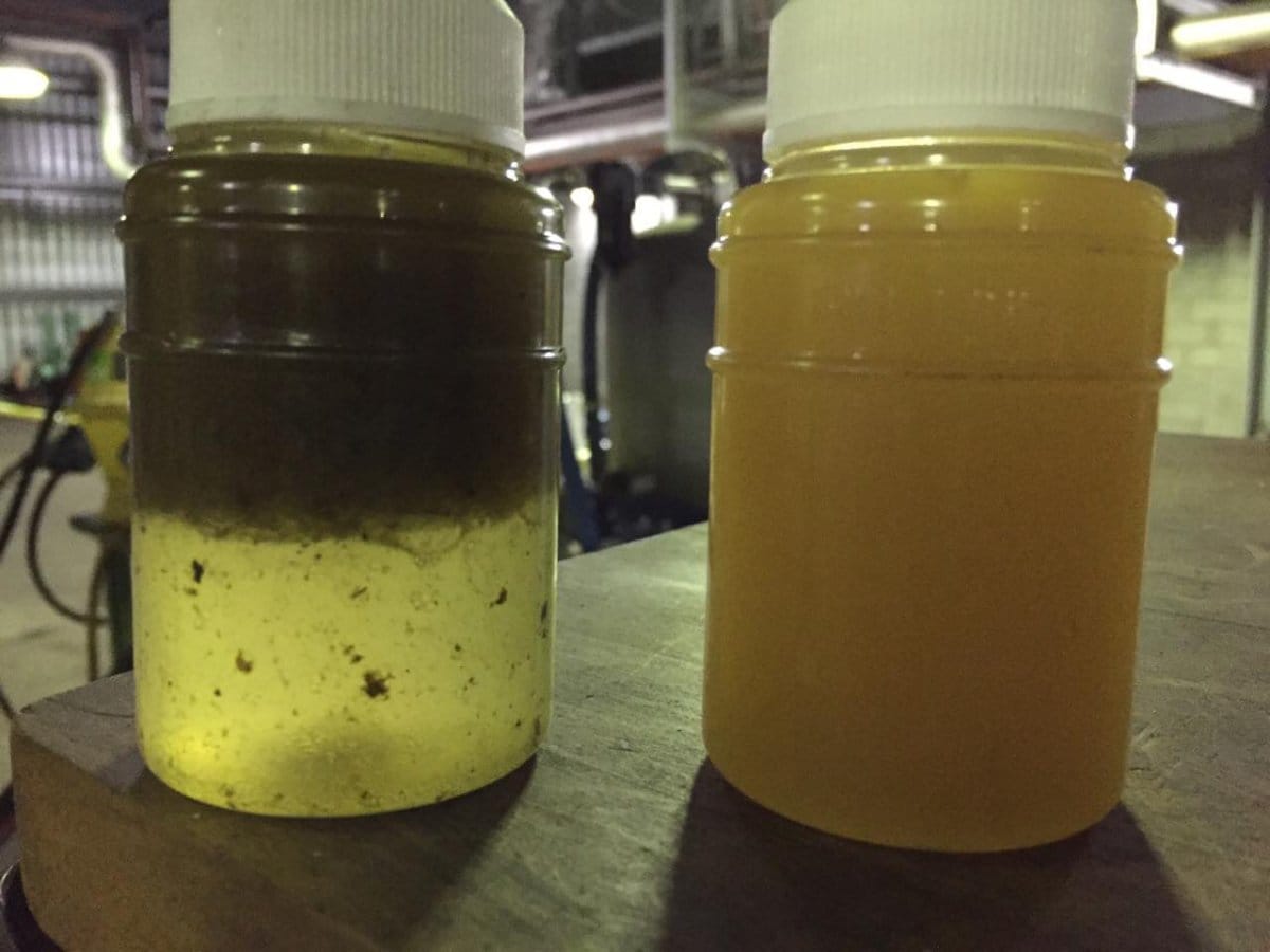 How Organic Growth Affects Industrial Lube Oil