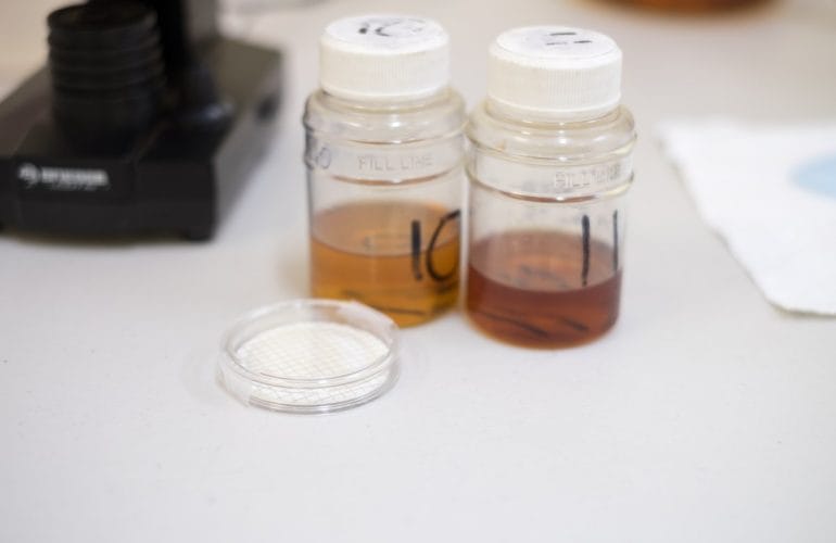 Oil Groups Explained: Mineral vs Synthetic Lubricants