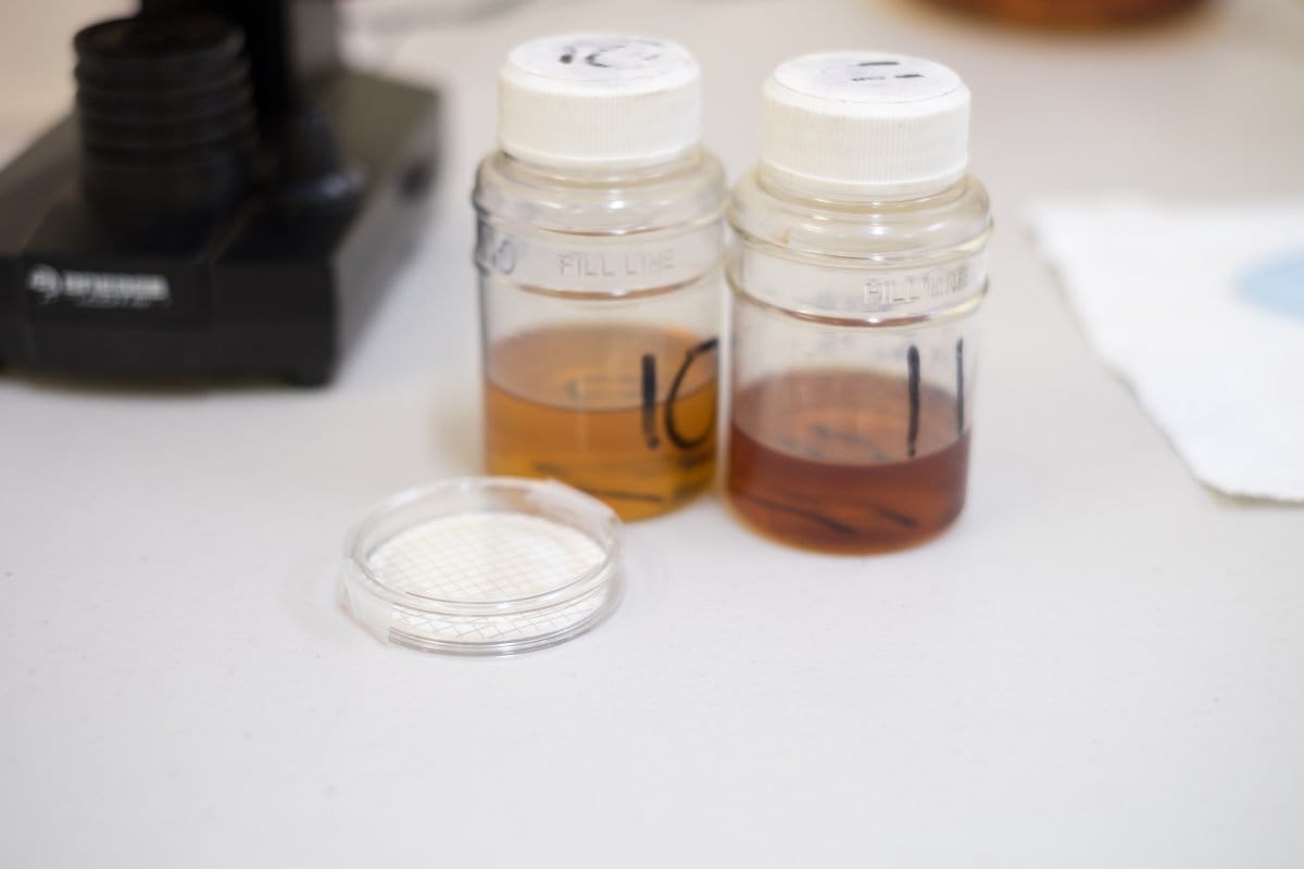 Oil Groups Explained: Mineral vs Synthetic Lubricants