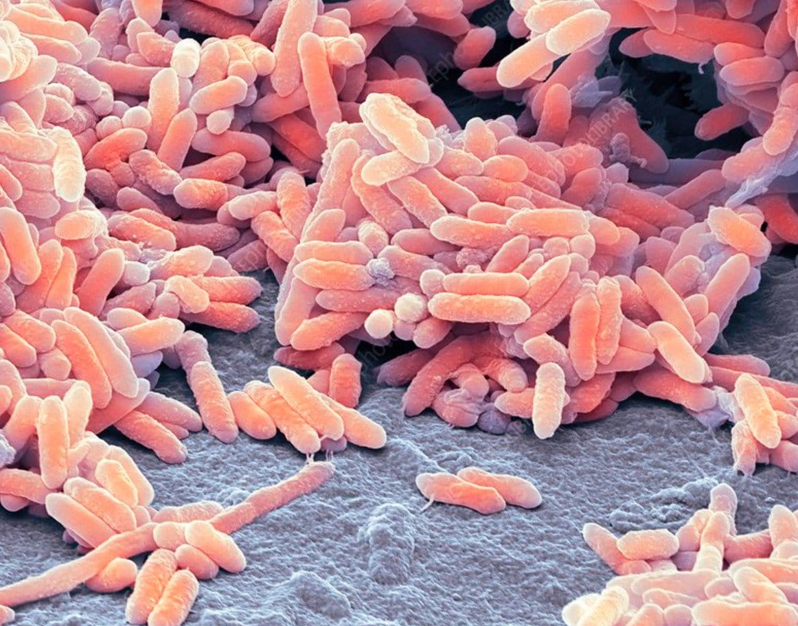 Managing Microbial Contamination in Industrial Lubricants